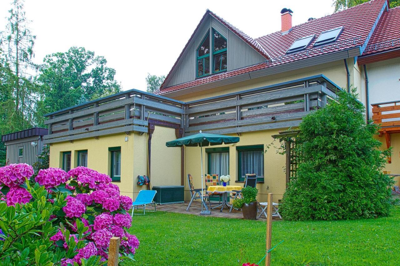 דרזדן Ferienwohnung Oberloschwitz מראה חיצוני תמונה